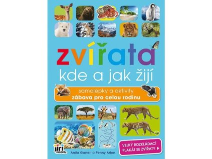 large 2025 07 28T153950.106