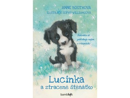 Lucinka a ztracené štěňátko - Boothová Anne