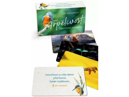 trpelivost tajemstvi uspechu karty 1