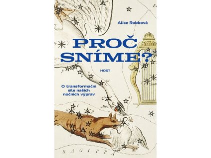 Proč sníme? - O síle našich nočních výprav - Alice Robbová
