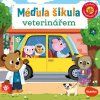 1 medula sikula veterinarem