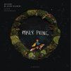 0055019857 Maly princ V