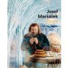Zimní - Josef Maršálek