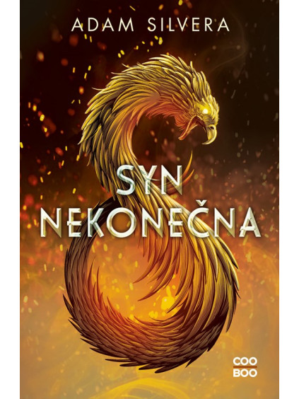 Syn nekonečna