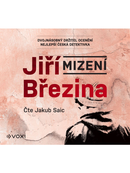 Mizení (audiokniha)