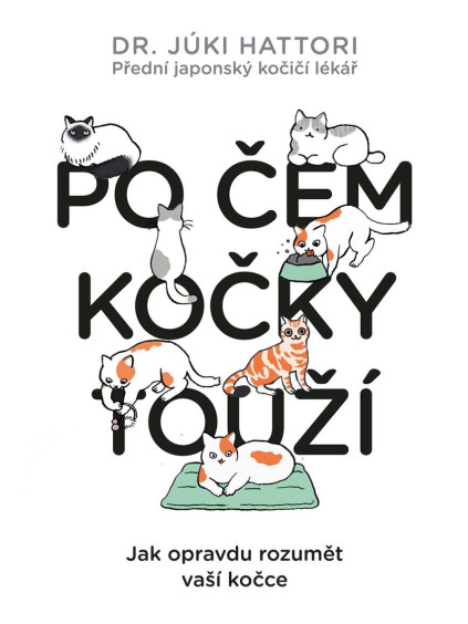 Po čem kočky touží? Ilustrovaný lidsko-kočičí slovník