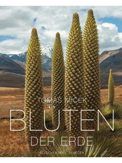 Blüten der Erde