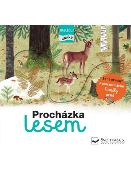 Procházka lesem - následuj cestu