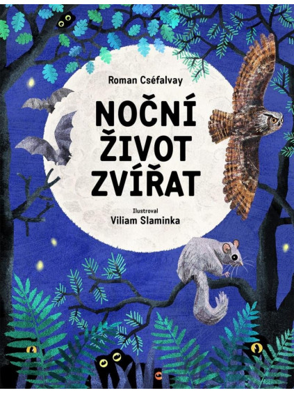 Noční život zvířat