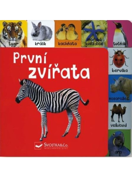 První zvířata