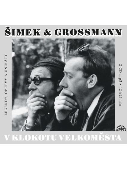 V klokotu velkoměsta - 2 CDmp3