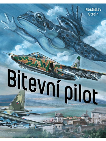 Bitevní pilot
