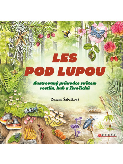 Les pod lupou