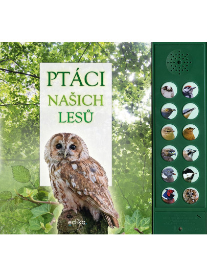 Ptáci našich lesů