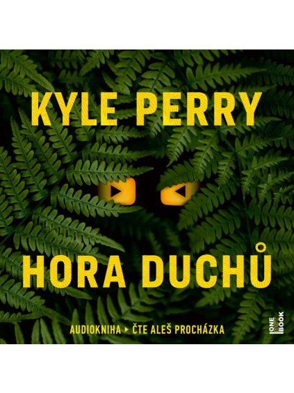 Hora Duchů - 2 CDmp3 (Čte Aleš Procházka)