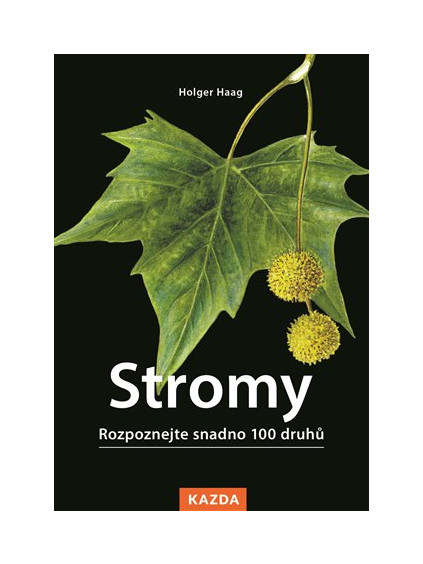 Stromy