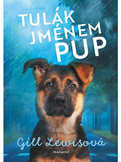 Tulák jménem Pup