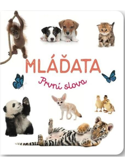 Mláďata První slova
