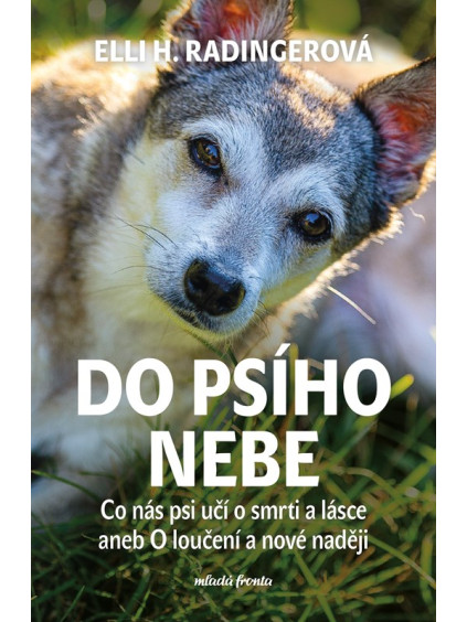 Do psího nebe