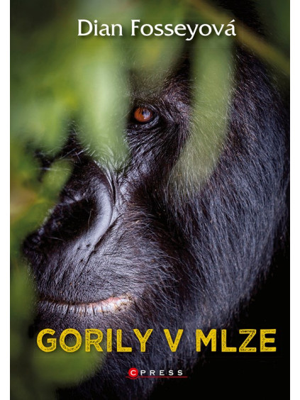 Gorily v mlze