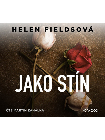 Jako stín (audiokniha)