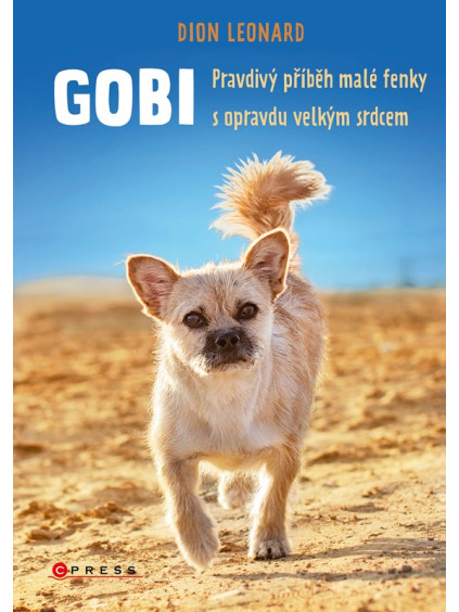 Gobi