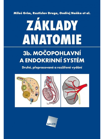 Základy anatomie. 3b - Močopohlavní a endokrinní systém