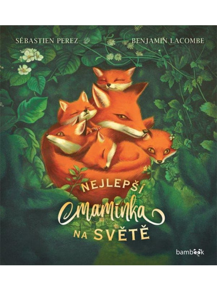 Nejlepší maminka na světě