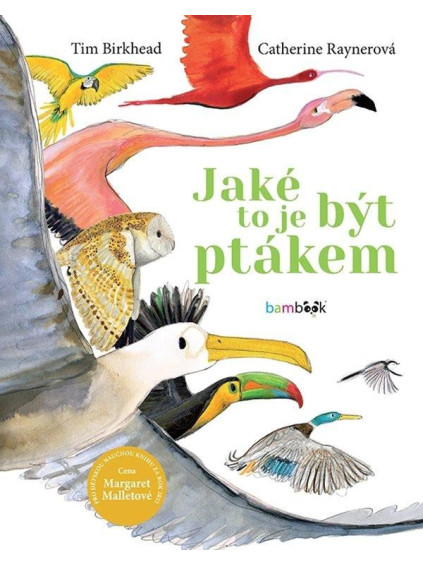 Jaké to je být ptákem