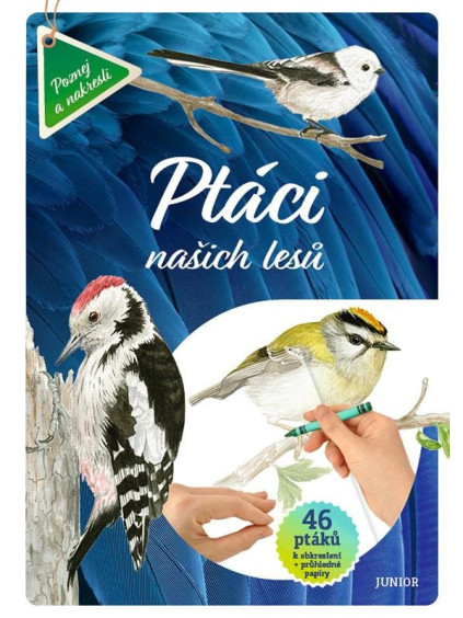 Ptáci našich lesů - 46 ptáků k obkreslení + průhledné papíry