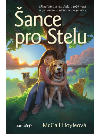 Šance pro Stelu