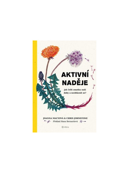 Aktivní naděje - Jak čelit zmatku naší doby a nezbláznit se