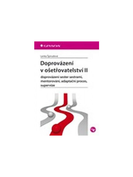 Doprovázení v ošetřovatelství II - doprovázení sester sestrami, mentorování, adaptační proces, supervize