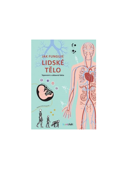 Jak funguje lidské tělo - Tajemství a zábavná fakta