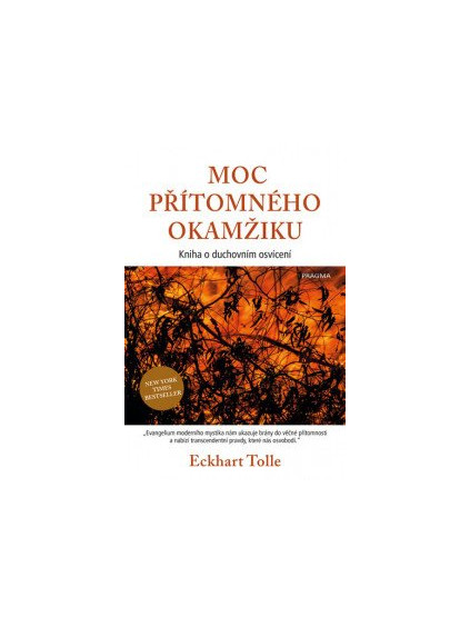 Moc přítomného okamžiku