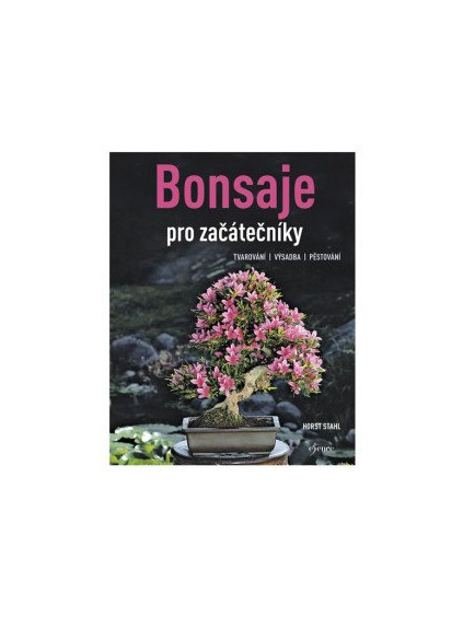 Bonsaje pro začátečníky