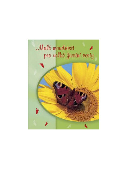 Malé moudrosti pro velké životní cesty