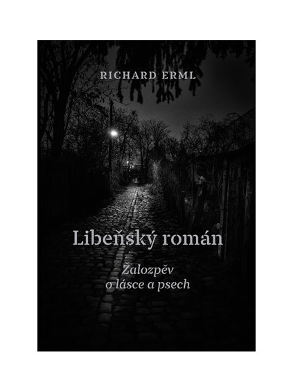 Libeňský román