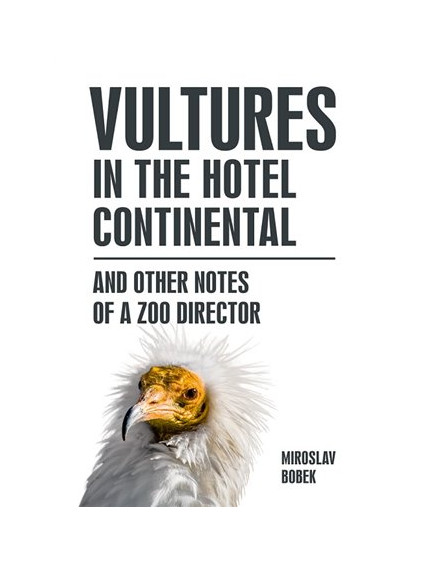 Vultures in the hotel Continental
