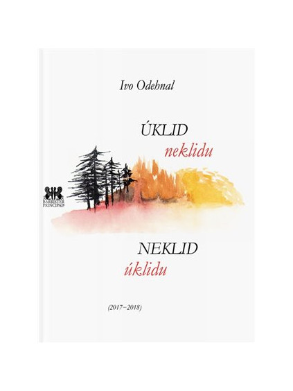 Úklid neklidu - neklid úklidu