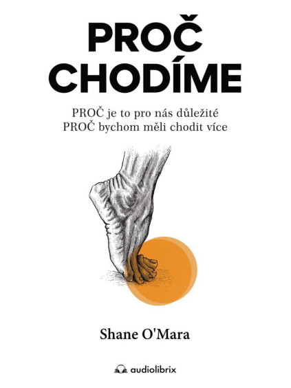 Proč chodíme / PROČ je to pro nás důležité, PROČ bychom měli chodit více