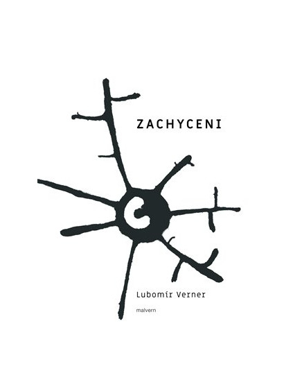 Zachyceni