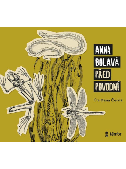 Před povodní - audioknihovna