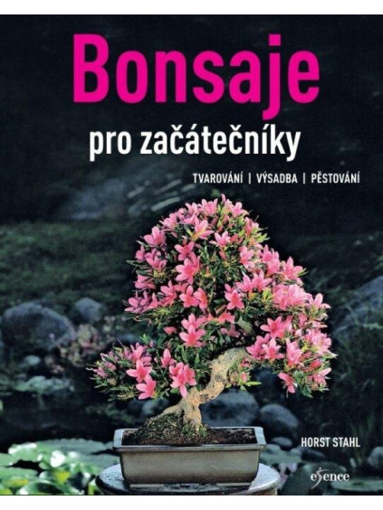 Bonsaje pro začátečníky