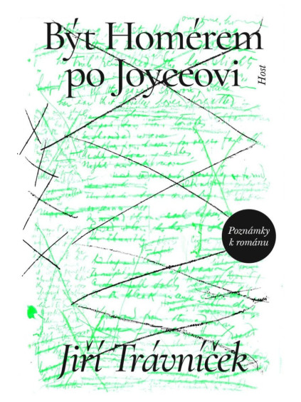 Být Homérem po Joyceovi - Poznámky k románu