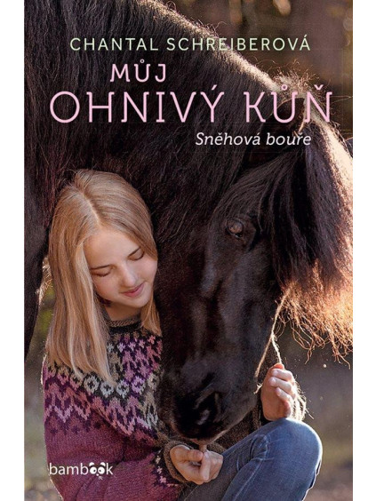 Můj ohnivý kůň 2 – Sněhová bouře