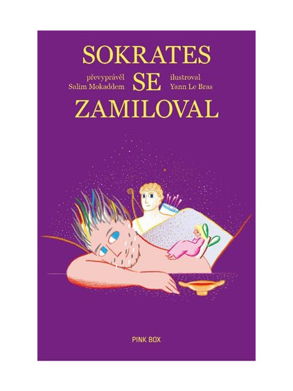 Sokrates se zamiloval