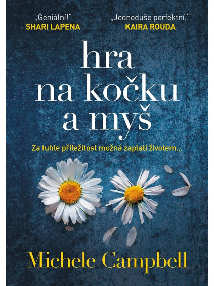 Hra na kočku a myš