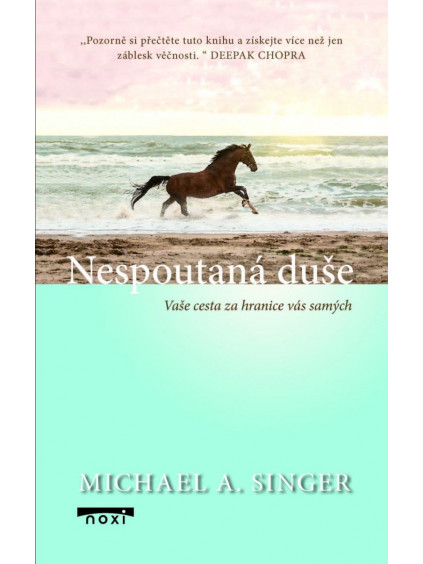 Nespoutaná duše - Vaše cesta za hranice vás samých