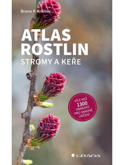 Atlas rostlin - Stromy a keře